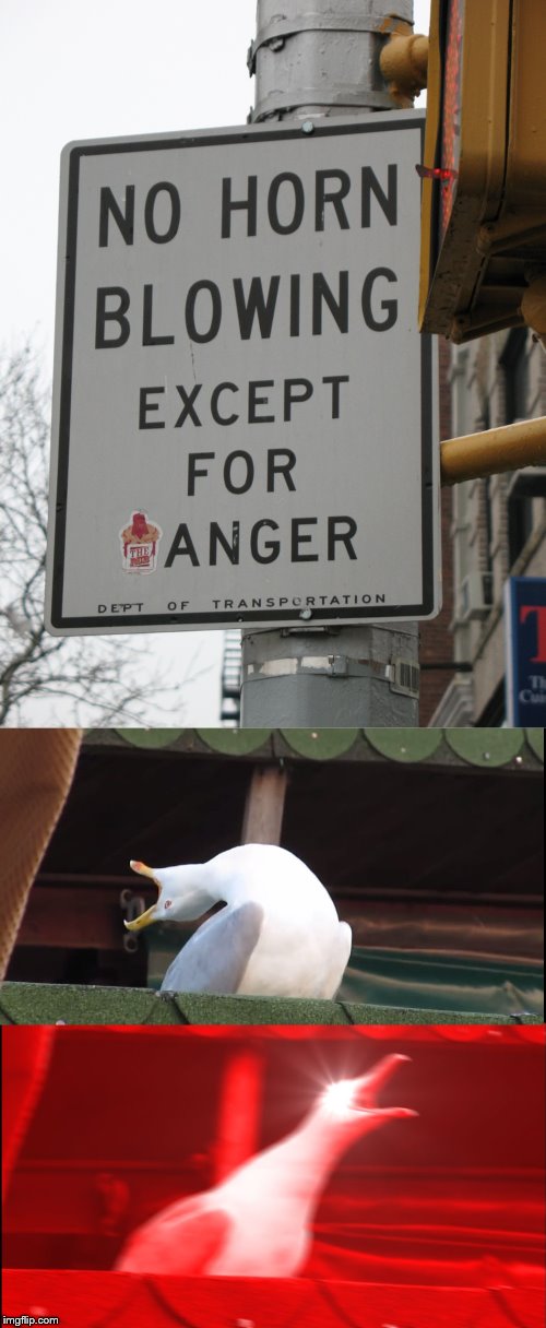 Angery Horn Blowing | image tagged in screaming bird,angery,horn,funny signs | made w/ Imgflip meme maker