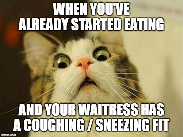 Scared Cat | WHEN YOU'VE ALREADY STARTED EATING; AND YOUR WAITRESS HAS A COUGHING / SNEEZING FIT | image tagged in memes,scared cat | made w/ Imgflip meme maker