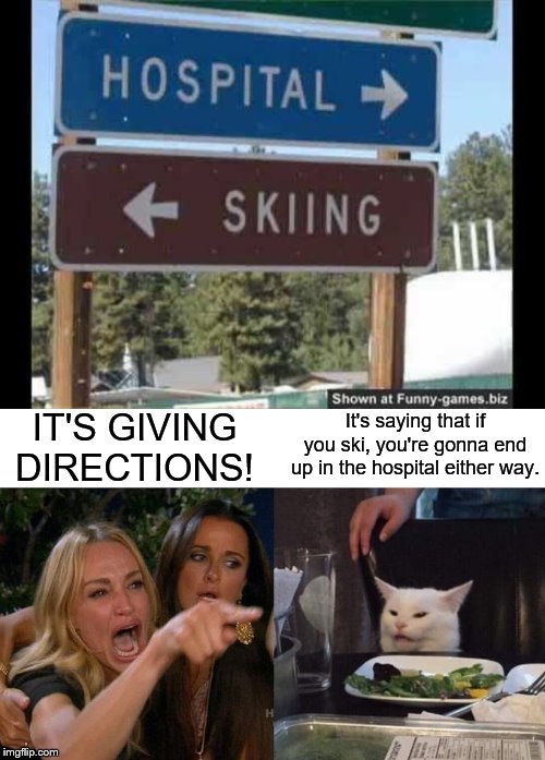 Two Words: DON'T SKI | IT'S GIVING DIRECTIONS! It's saying that if you ski, you're gonna end up in the hospital either way. | image tagged in memes,woman yelling at cat,skiing,hospital | made w/ Imgflip meme maker