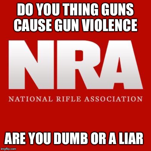 Nra | DO YOU THING GUNS CAUSE GUN VIOLENCE; ARE YOU DUMB OR A LIAR | image tagged in nra | made w/ Imgflip meme maker