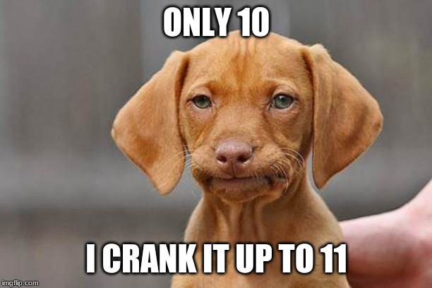 Dissapointed puppy | ONLY 10 I CRANK IT UP TO 11 | image tagged in dissapointed puppy | made w/ Imgflip meme maker