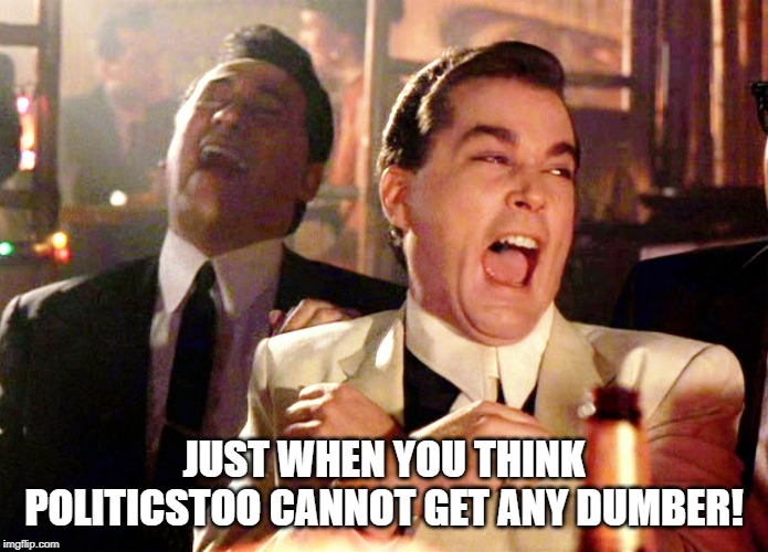 Good Fellas Hilarious Meme | JUST WHEN YOU THINK POLITICSTOO CANNOT GET ANY DUMBER! | image tagged in memes,good fellas hilarious | made w/ Imgflip meme maker