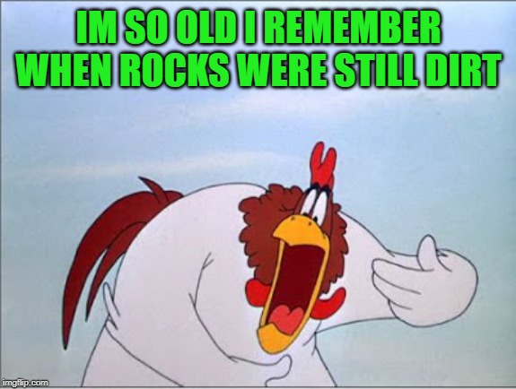 foghorn | IM SO OLD I REMEMBER WHEN ROCKS WERE STILL DIRT | image tagged in foghorn | made w/ Imgflip meme maker