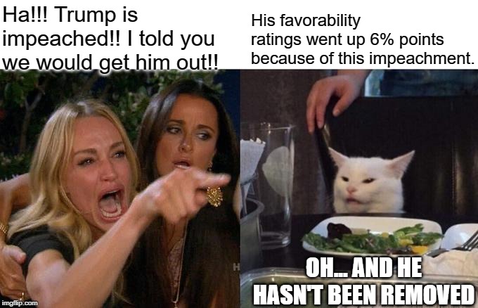 Trump impeachment doesn't mean he is removed from office. Removal is decided by the senate in a trial. | Ha!!! Trump is impeached!! I told you we would get him out!! His favorability ratings went up 6% points because of this impeachment. OH... AND HE HASN'T BEEN REMOVED | image tagged in memes,woman yelling at cat,trump removal,trump impeachment,two articles of impeachment,nancy pelosi | made w/ Imgflip meme maker