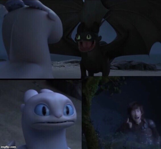 HTTYD Toothless Flirting | image tagged in httyd,how to train your dragon,how to train your dragon the hidden world,toothless,toothless presents himself | made w/ Imgflip meme maker