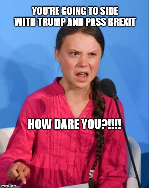 Greta Thunberg how dare you | YOU'RE GOING TO SIDE WITH TRUMP AND PASS BREXIT; HOW DARE YOU?!!!! | image tagged in greta thunberg how dare you | made w/ Imgflip meme maker