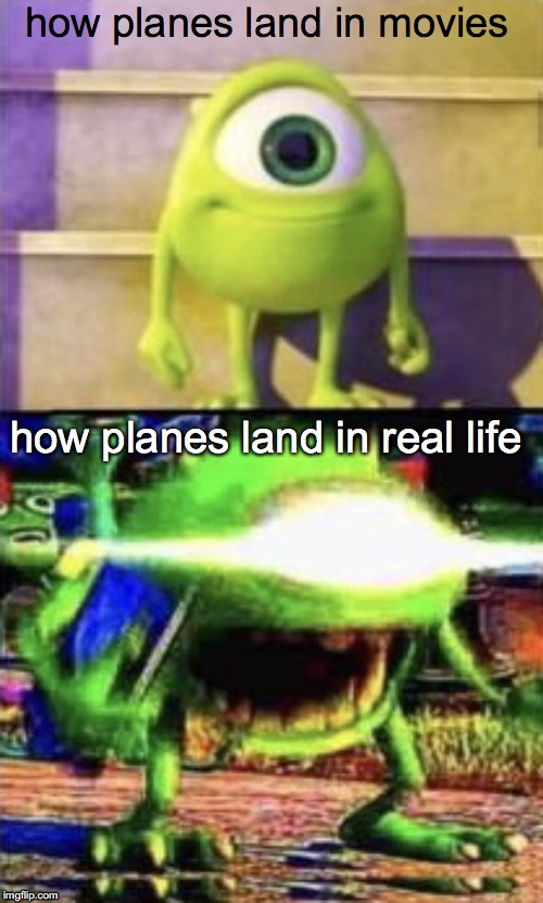 Tell me it isn't true | how planes land in movies; how planes land in real life | image tagged in mike wazowski | made w/ Imgflip meme maker
