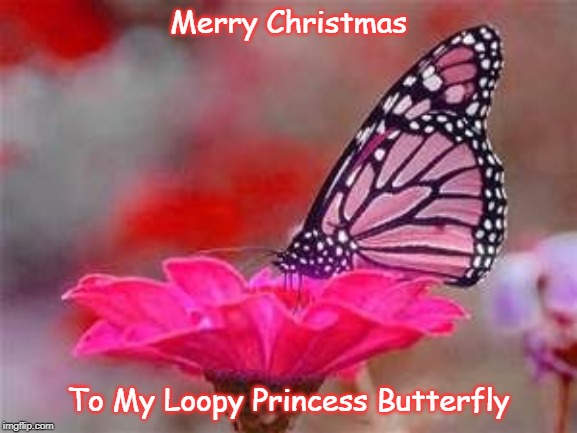 Pink Butterfly on Flower | Merry Christmas; To My Loopy Princess Butterfly | image tagged in pink butterfly on flower | made w/ Imgflip meme maker