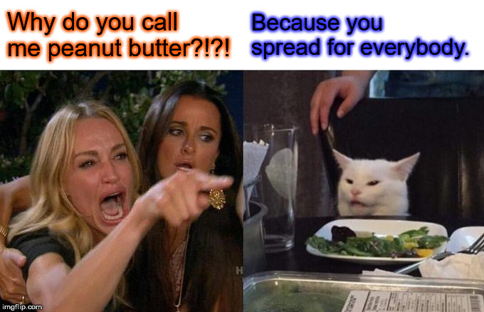 Woman Yelling At Cat Meme | Why do you call me peanut butter?!?! Because you spread for everybody. | image tagged in memes,woman yelling at cat | made w/ Imgflip meme maker
