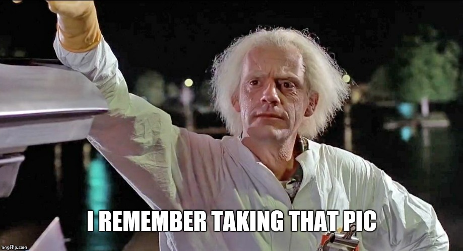 Doc Brown | I REMEMBER TAKING THAT PIC | image tagged in doc brown | made w/ Imgflip meme maker