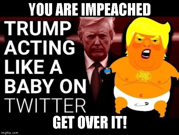 Send Trump to a "Whine" Cave for Crying Babies | YOU ARE IMPEACHED; GET OVER IT! | image tagged in trump impeachment,trump baby,crying trump baby | made w/ Imgflip meme maker