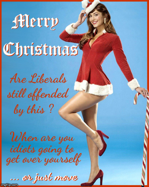 Merry Christmas...y'all still offended by this ? | image tagged in merry christmas,babes,so true memes,legs,lol so funny,political meme | made w/ Imgflip meme maker
