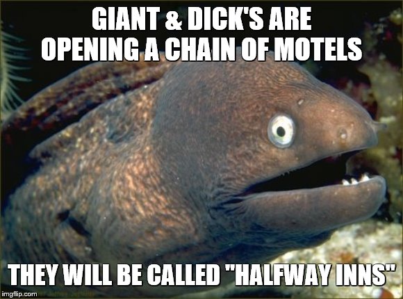 Bad Joke Eel Meme | GIANT & DICK'S ARE OPENING A CHAIN OF MOTELS THEY WILL BE CALLED "HALFWAY INNS" | image tagged in memes,bad joke eel | made w/ Imgflip meme maker