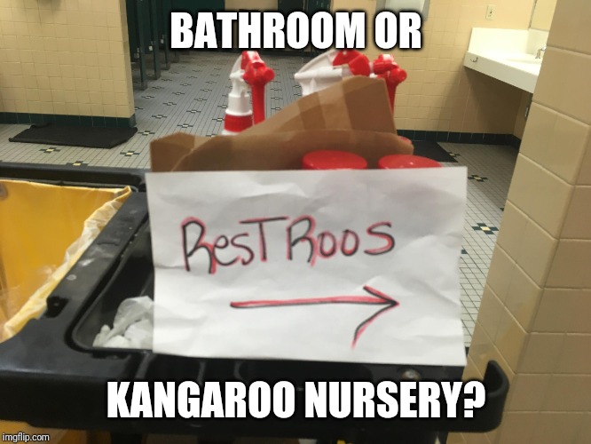 Where does this go? | BATHROOM OR; KANGAROO NURSERY? | image tagged in bathroom,kangaroo,spelling error | made w/ Imgflip meme maker