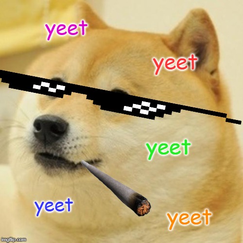 Doge | yeet; yeet; yeet; yeet; yeet | image tagged in memes,doge | made w/ Imgflip meme maker