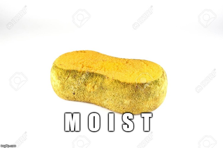 moist | M  O  I  S  T | image tagged in moist | made w/ Imgflip meme maker