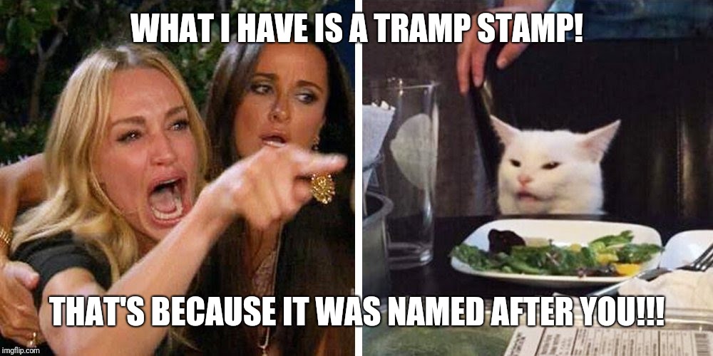 Smudge the cat | WHAT I HAVE IS A TRAMP STAMP! THAT'S BECAUSE IT WAS NAMED AFTER YOU!!! | image tagged in smudge the cat | made w/ Imgflip meme maker