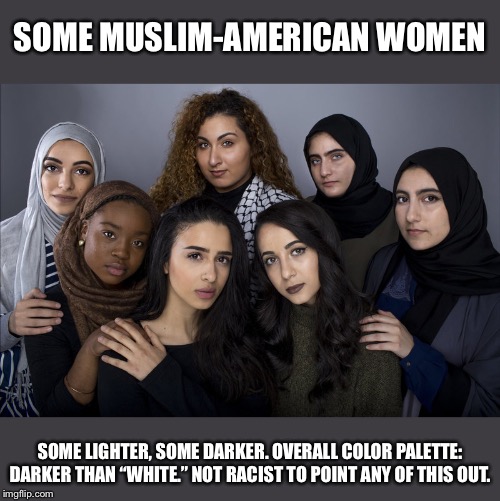 When they call you “racist” for merely saying Muslims are typically of a darker complexion. | SOME MUSLIM-AMERICAN WOMEN; SOME LIGHTER, SOME DARKER. OVERALL COLOR PALETTE: DARKER THAN “WHITE.” NOT RACIST TO POINT ANY OF THIS OUT. | image tagged in muslim women,racism,muslim,muslims,no racism,racist | made w/ Imgflip meme maker
