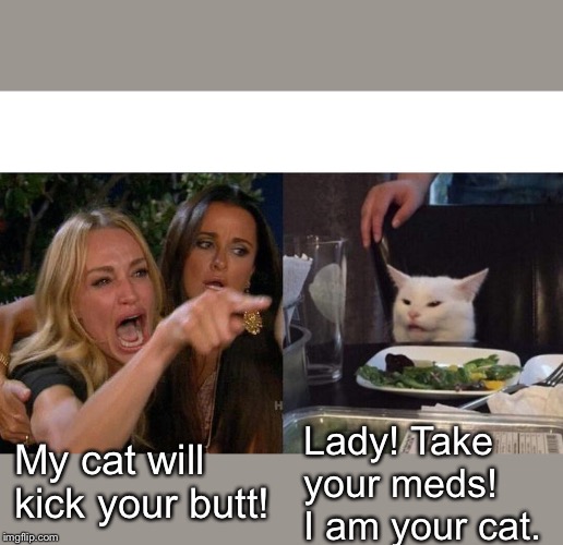 Woman Yelling At Cat Meme | My cat will kick your butt! Lady! Take your meds! I am your cat. | image tagged in memes,woman yelling at cat | made w/ Imgflip meme maker