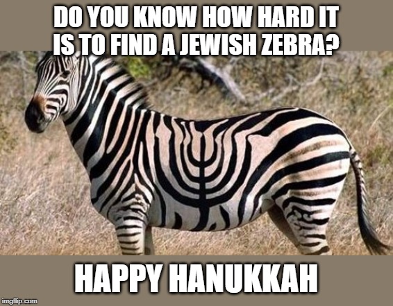 happy hanukkah | DO YOU KNOW HOW HARD IT IS TO FIND A JEWISH ZEBRA? HAPPY HANUKKAH | image tagged in happy hanukkah,jewish zebra | made w/ Imgflip meme maker