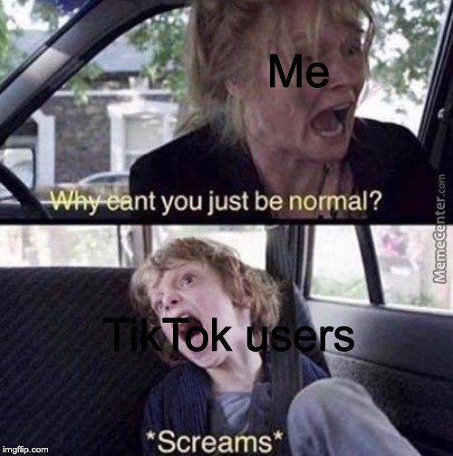 TikTok bad Normal people rad | Me; TikTok users | image tagged in why can't you just be normal | made w/ Imgflip meme maker