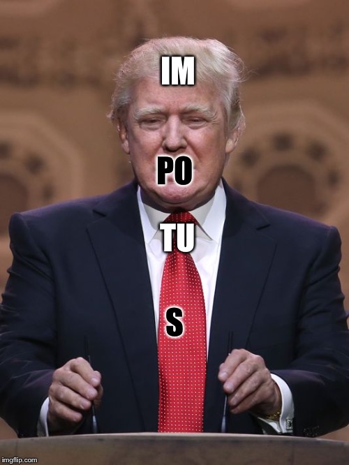 Donald Trump | IM PO TU S | image tagged in donald trump | made w/ Imgflip meme maker