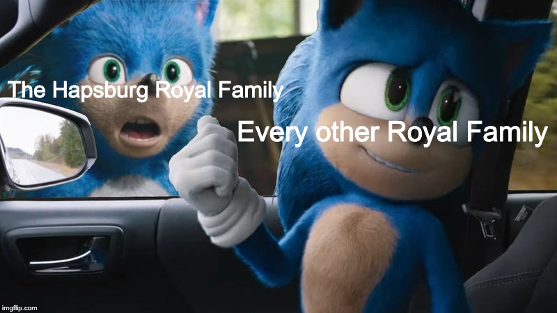 History Meme #2 | The Hapsburg Royal Family; Every other Royal Family | image tagged in sonic points at sonic | made w/ Imgflip meme maker