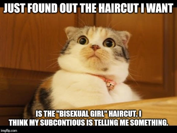 Shocked cat | JUST FOUND OUT THE HAIRCUT I WANT; IS THE "BISEXUAL GIRL" HAIRCUT. I THINK MY SUBCONSCIOUS IS TELLING ME SOMETHING. | image tagged in shocked cat | made w/ Imgflip meme maker