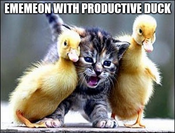 Kitten with ducklings | EMEMEON WITH PRODUCTIVE DUCK | image tagged in kitten with ducklings | made w/ Imgflip meme maker