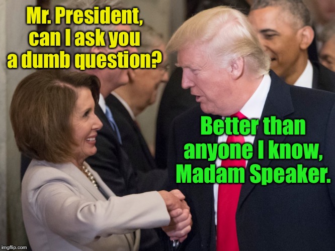 What can I say? | Mr. President, can I ask you a dumb question? Better than anyone I know, Madam Speaker. | image tagged in trump pelosi,dumb question | made w/ Imgflip meme maker