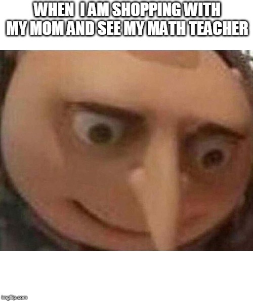gru meme | WHEN  I AM SHOPPING WITH MY MOM AND SEE MY MATH TEACHER | image tagged in gru meme | made w/ Imgflip meme maker