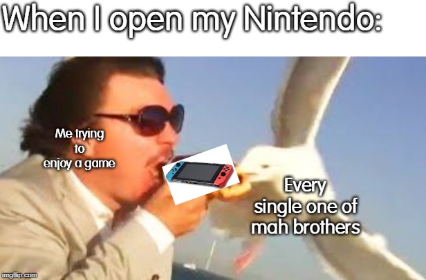 swiping seagull | When I open my Nintendo:; Me trying to enjoy a game; Every single one of mah brothers | image tagged in swiping seagull | made w/ Imgflip meme maker