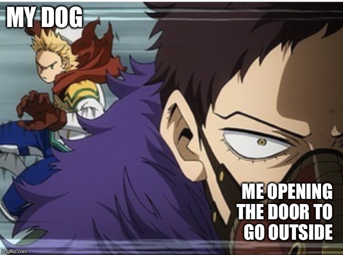 MHA | MY DOG; ME OPENING 
THE DOOR TO 
GO OUTSIDE | image tagged in mha | made w/ Imgflip meme maker