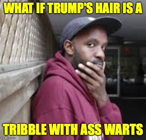 Philosorapper | WHAT IF TRUMP'S HAIR IS A; TRIBBLE WITH ASS WARTS | image tagged in philosorapper,memes,star trek,trump | made w/ Imgflip meme maker