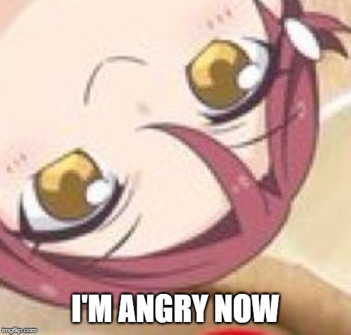 Riko is angry | I'M ANGRY NOW | image tagged in rikosandwich,love live,memes,fun | made w/ Imgflip meme maker