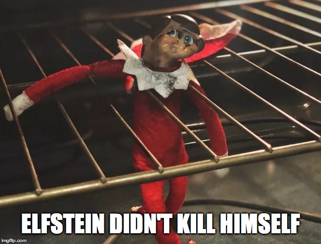 ELFSTEIN DIDN'T KILL HIMSELF | image tagged in jeffrey epstein,elfstein | made w/ Imgflip meme maker