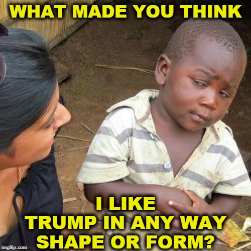 To Trump, I'm a dark-skinned person from a shithole country. My father isn't rich. Trump and I don't have a lot to talk about. | WHAT MADE YOU THINK; I LIKE TRUMP IN ANY WAY SHAPE OR FORM? | image tagged in memes,third world skeptical kid,trump,racist | made w/ Imgflip meme maker