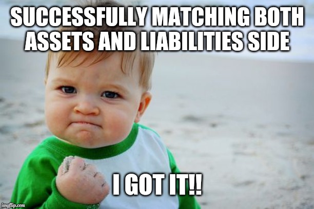 Success Kid Original | SUCCESSFULLY MATCHING BOTH ASSETS AND LIABILITIES SIDE; I GOT IT!! | image tagged in memes,success kid original | made w/ Imgflip meme maker