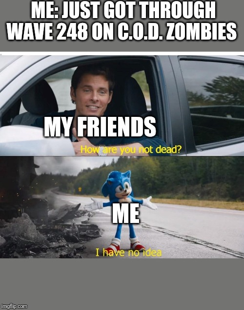 sonic how are you not dead | ME: JUST GOT THROUGH WAVE 248 ON C.O.D. ZOMBIES; MY FRIENDS; ME | image tagged in sonic how are you not dead | made w/ Imgflip meme maker