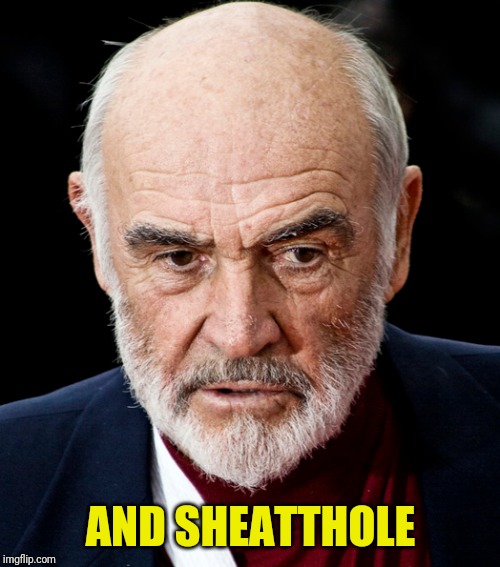 AND SHEATTHOLE | made w/ Imgflip meme maker