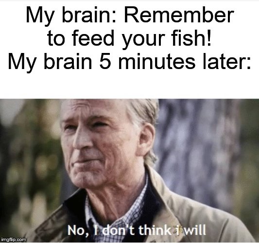 This happens way too often. | My brain: Remember to feed your fish!
My brain 5 minutes later: | image tagged in no i don't think i will,fish,scumbag brain,stupid,wow,oh wow are you actually reading these tags | made w/ Imgflip meme maker