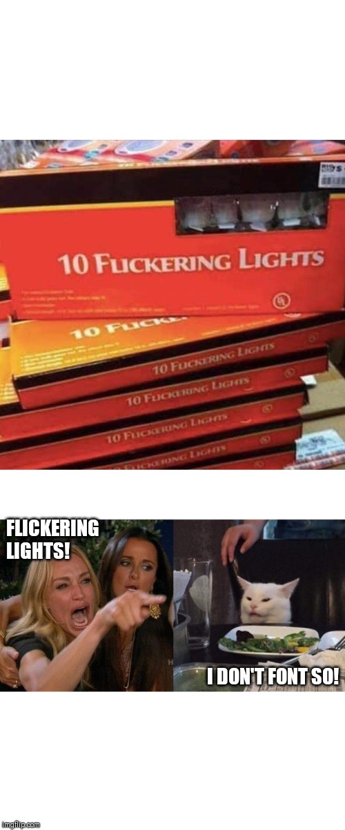 FLICKERING LIGHTS! I DON'T FONT SO! | image tagged in memes,woman yelling at cat | made w/ Imgflip meme maker