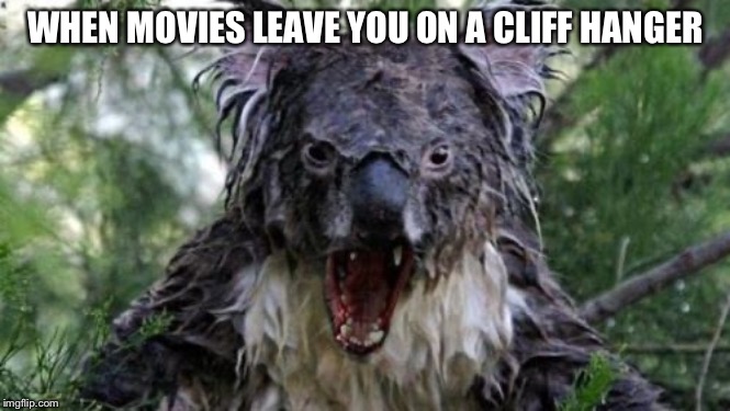 Angry Koala Meme | WHEN MOVIES LEAVE YOU ON A CLIFF HANGER | image tagged in memes,angry koala | made w/ Imgflip meme maker