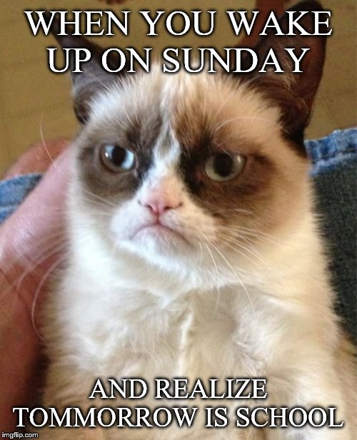 Grumpy Cat | WHEN YOU WAKE UP ON SUNDAY; AND REALIZE TOMMORROW IS SCHOOL | image tagged in memes,grumpy cat | made w/ Imgflip meme maker