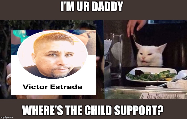 woman yelling at cat | I’M UR DADDY; WHERE’S THE CHILD SUPPORT? | image tagged in woman yelling at cat | made w/ Imgflip meme maker
