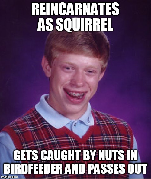 Bad Luck Brian Meme | REINCARNATES AS SQUIRREL GETS CAUGHT BY NUTS IN BIRDFEEDER AND PASSES OUT | image tagged in memes,bad luck brian | made w/ Imgflip meme maker