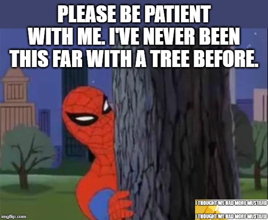 Spiderman Loves The Tree | PLEASE BE PATIENT WITH ME. I'VE NEVER BEEN THIS FAR WITH A TREE BEFORE. | image tagged in spiderman curious | made w/ Imgflip meme maker