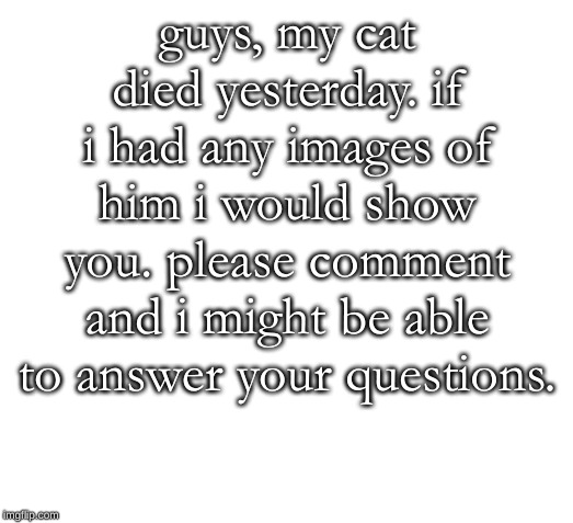 blank space | guys, my cat died yesterday. if i had any images of him i would show you. please comment and i might be able to answer your questions. | image tagged in blank space | made w/ Imgflip meme maker