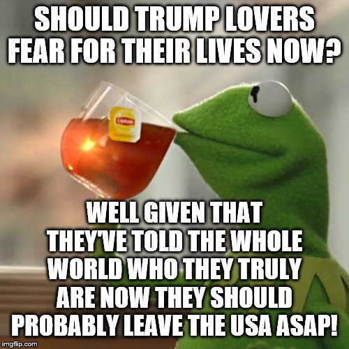 But That's None Of My Business Meme | SHOULD TRUMP LOVERS FEAR FOR THEIR LIVES NOW? WELL GIVEN THAT THEY'VE TOLD THE WHOLE WORLD WHO THEY TRULY ARE NOW THEY SHOULD PROBABLY LEAVE THE USA ASAP! | image tagged in memes,but thats none of my business,kermit the frog | made w/ Imgflip meme maker