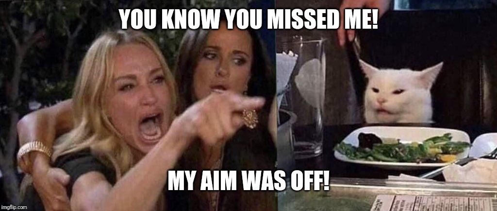 woman yelling at cat | YOU KNOW YOU MISSED ME! MY AIM WAS OFF! | image tagged in woman yelling at cat | made w/ Imgflip meme maker